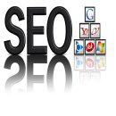 Professional SEO Services